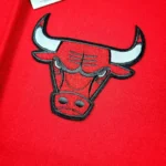 Chicago Bulls Varsity Jacket