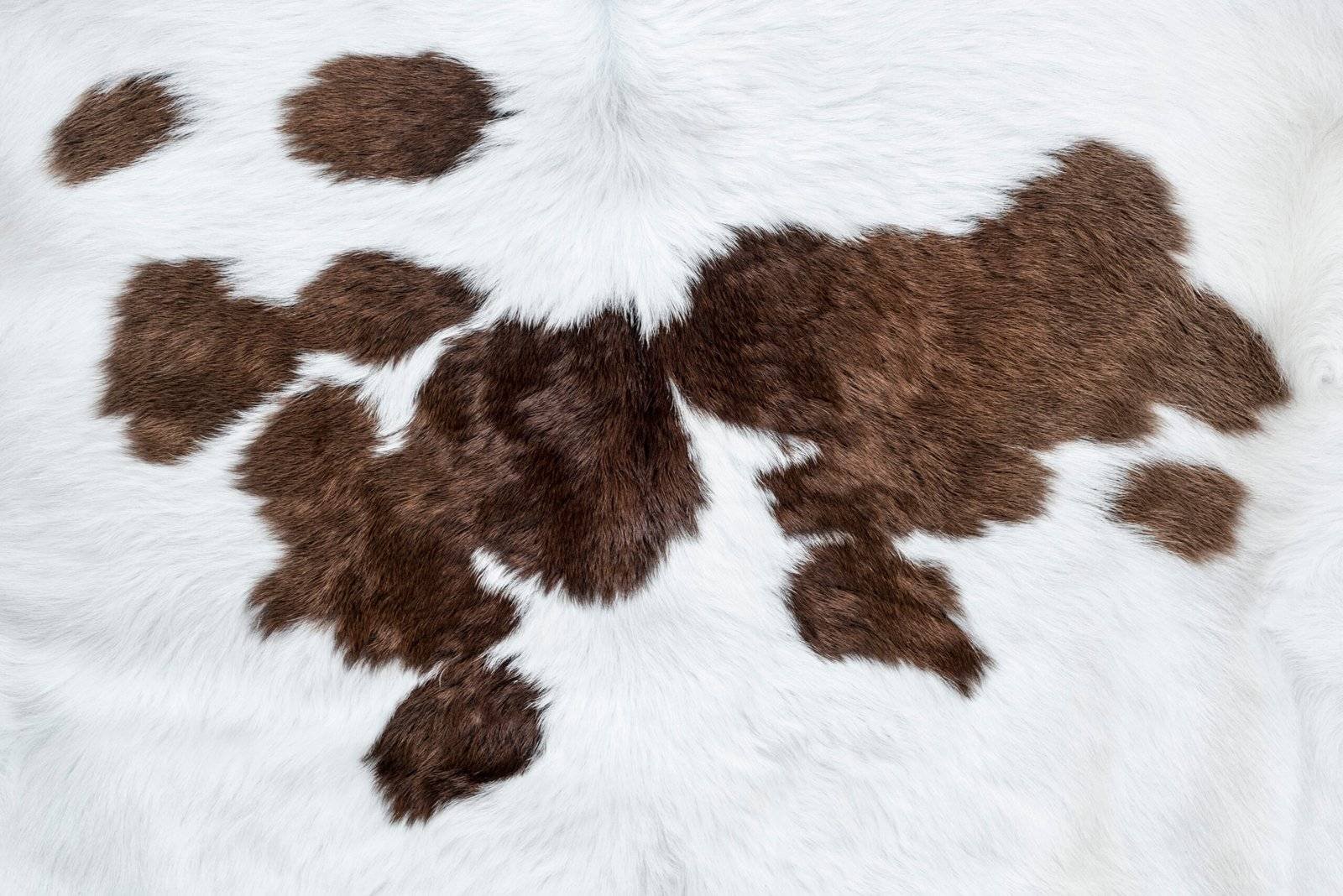 What Type of Leather is Best for Motorcycle Riding? 6 Cowhide Leather