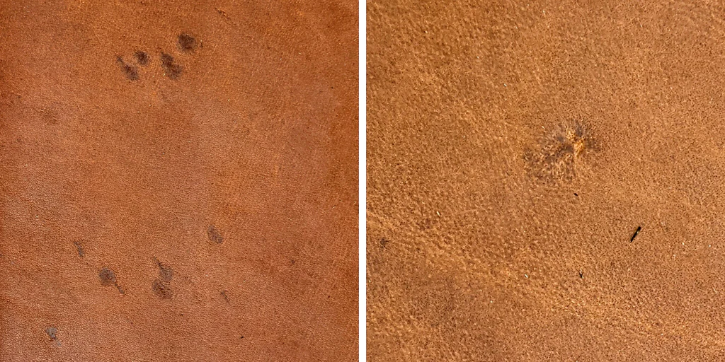 How to Identify Genuine Leather in 5 Simple Steps 9 Easy leather authenticity guide